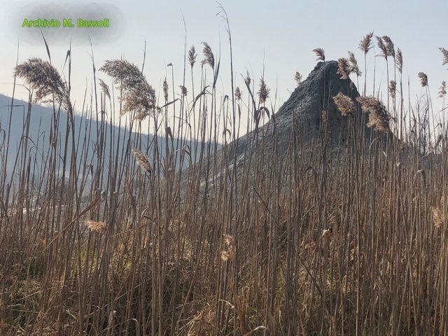 Foce_adige