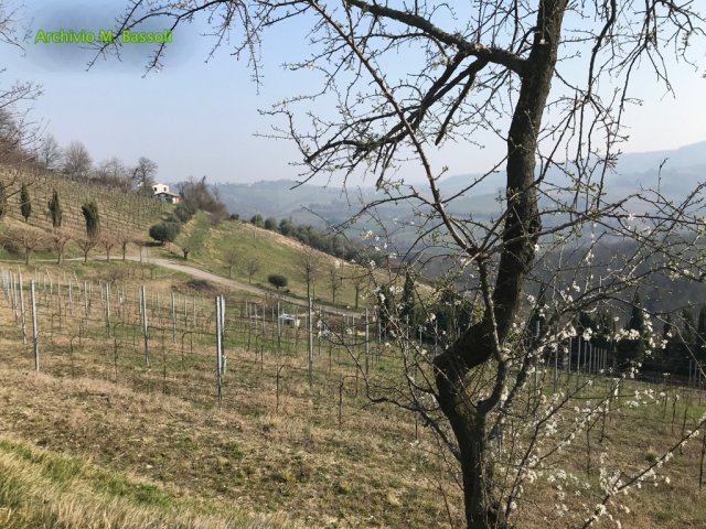 Foce_adige