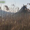 Foce_adige