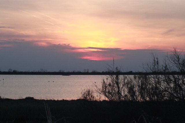 Porto Viro