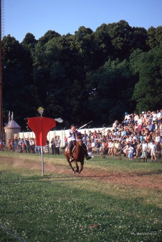 Palio di Parma e San secondo