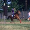 Palio di Parma e San secondo