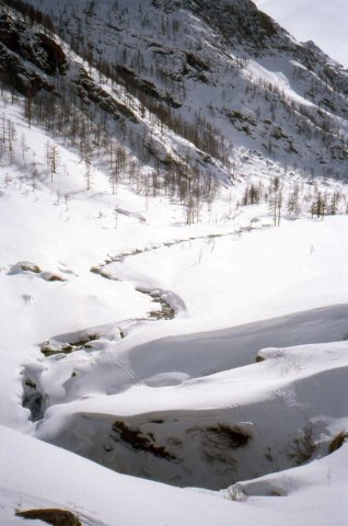 Foce_adige