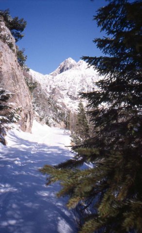 Foce_adige