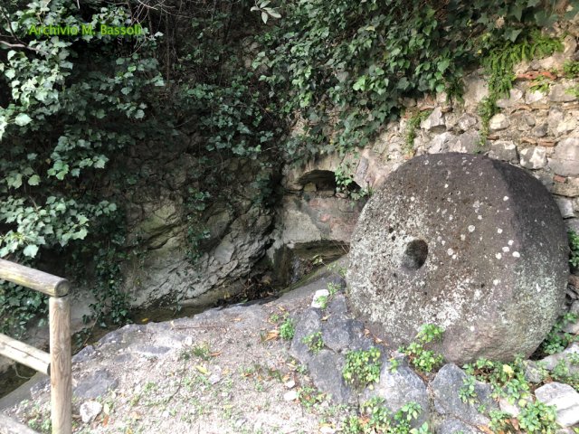 TorboleNago