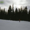 Telemark