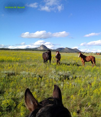 Wyoming