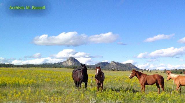 Wyoming
