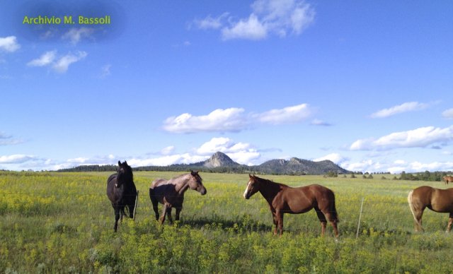 Wyoming