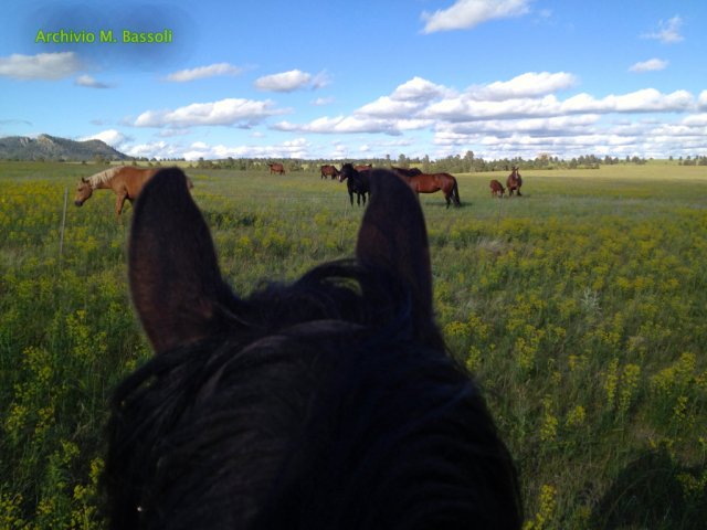 Wyoming