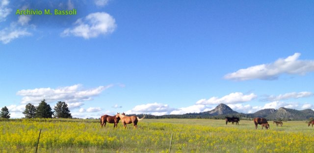 Wyoming