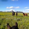 Wyoming