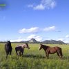 Wyoming