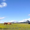 Wyoming